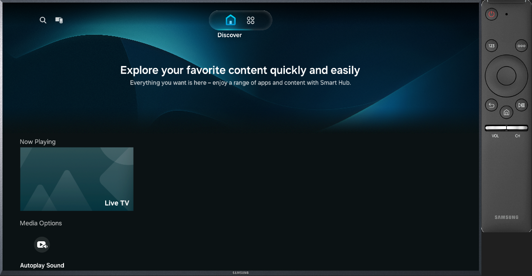 Figure 8. TV emulator instance