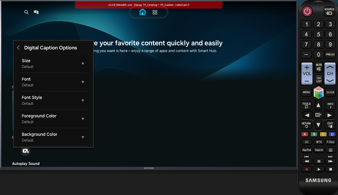 Figure 14. Captioning options