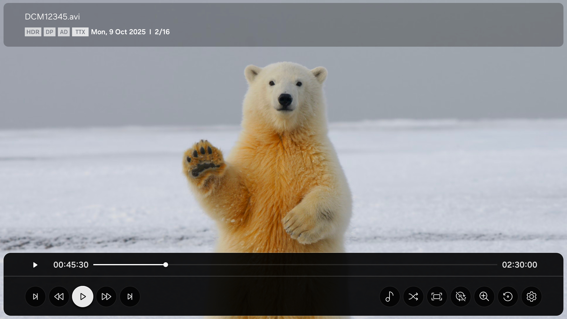 Figure 1: Example of a video player