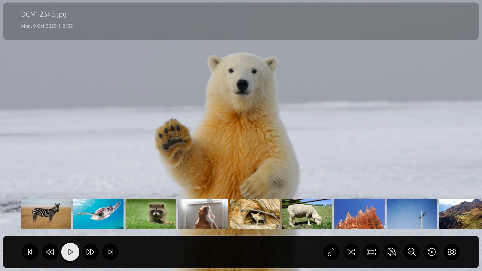 Figure 6: Example of a picture viewer