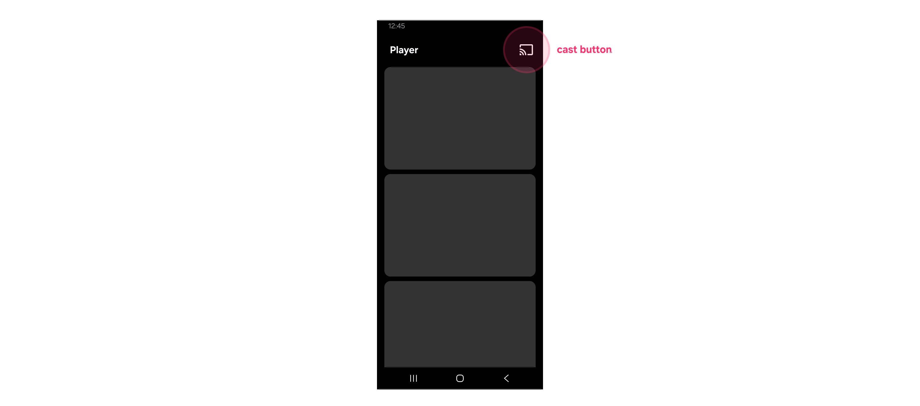 Figure 2: Example of the Cast button