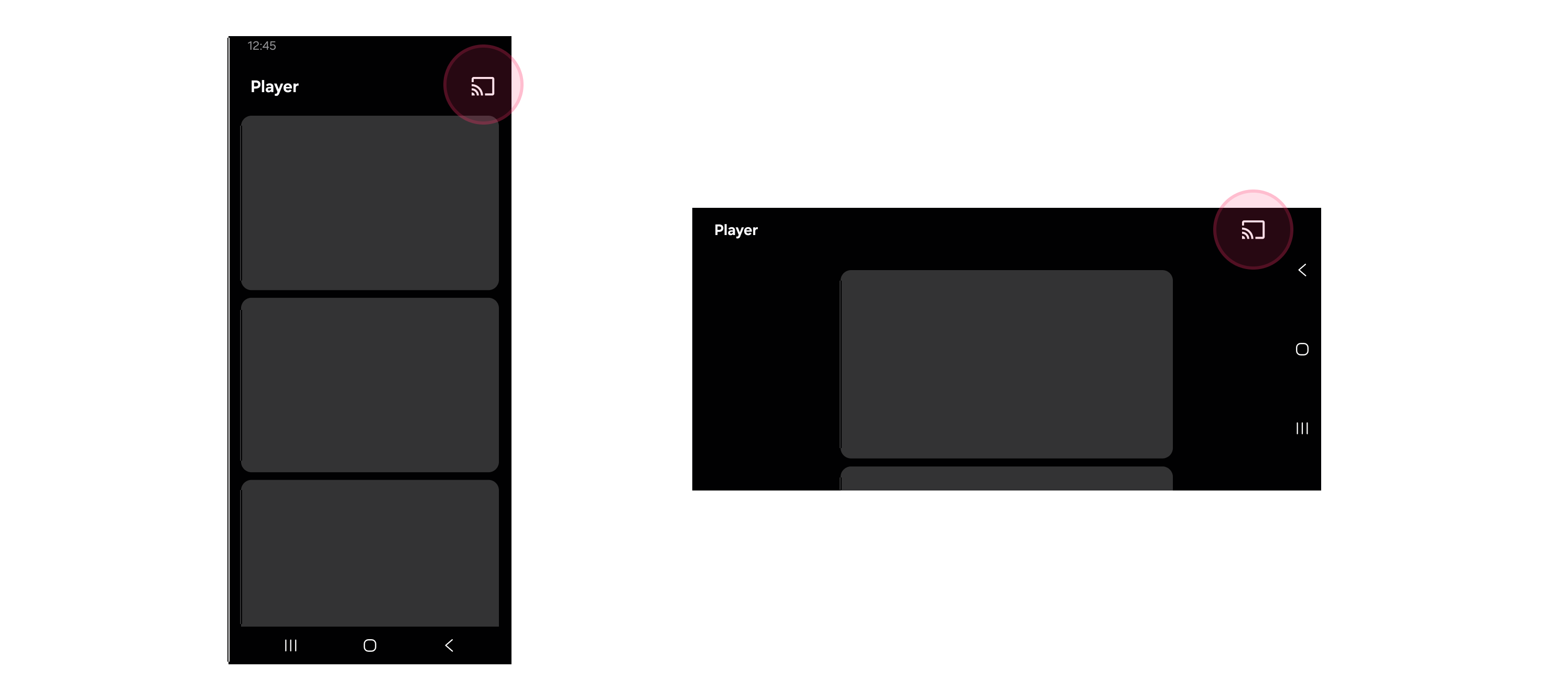 Figure 8: The Cast button shown on the Playback window