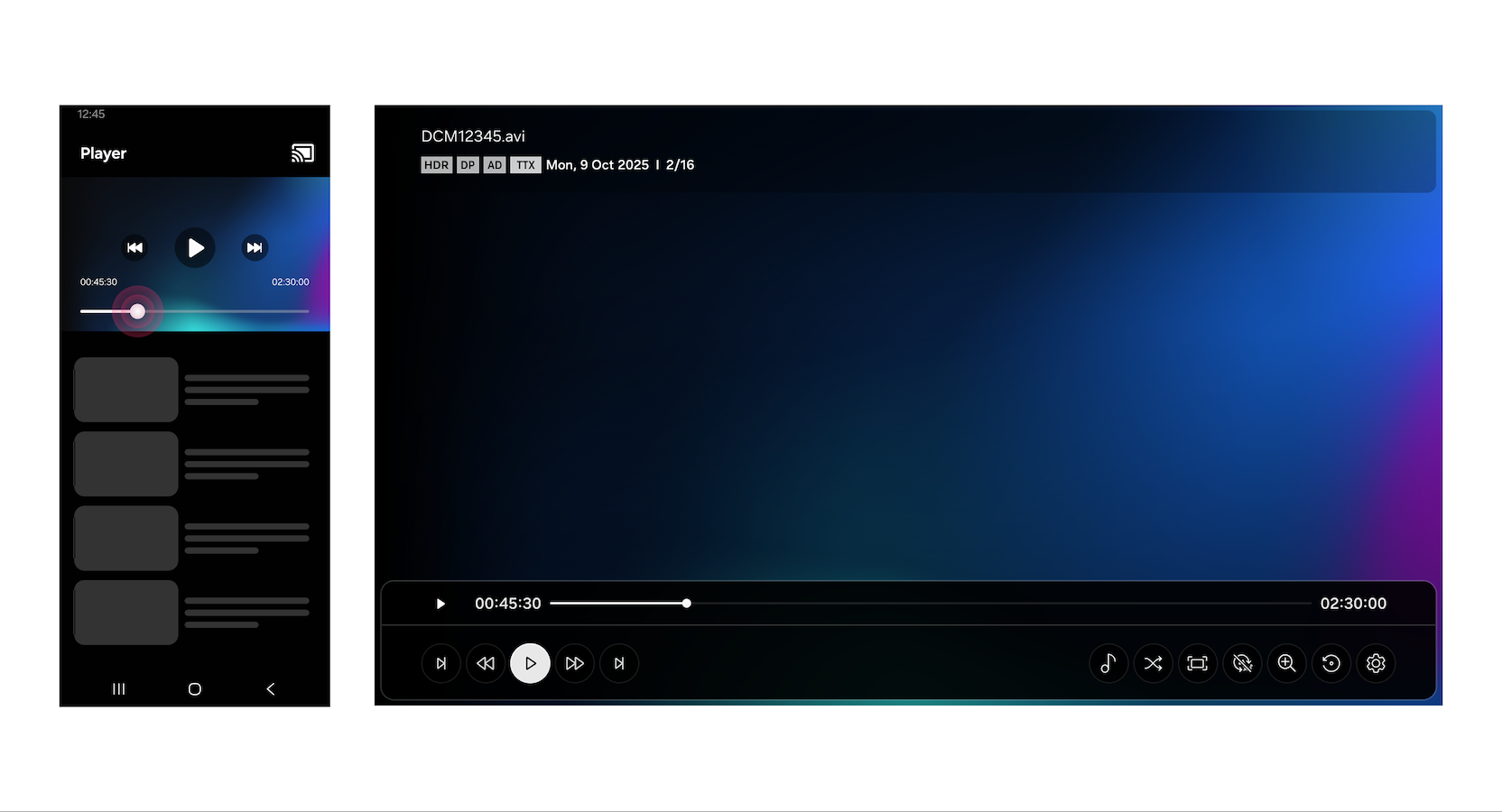 Figure 13: Playback control options