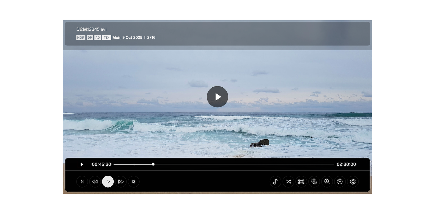 Figure 18: Default media player